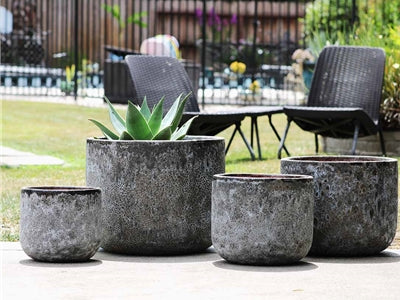 Norma Planter