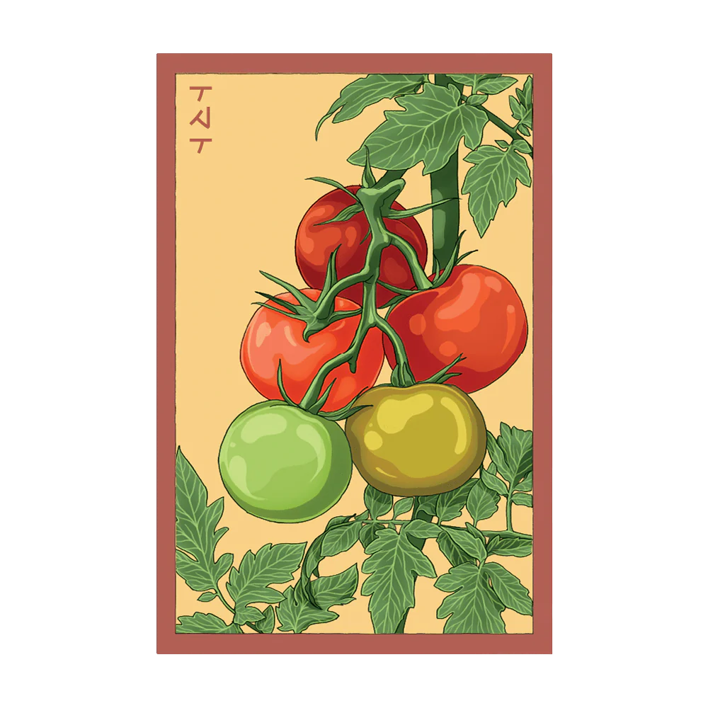 Tomato 'Beefsteak' Seed Packet