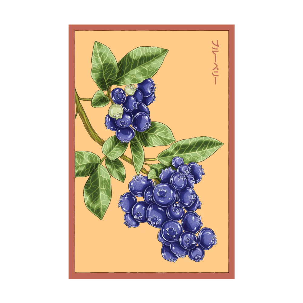 Shido Blueberry Flower Seed Packet