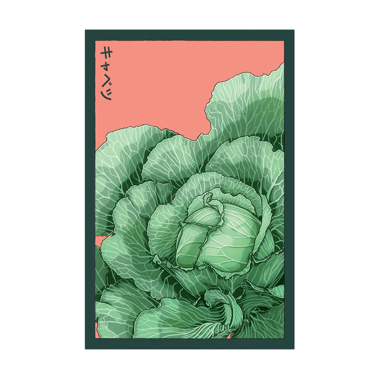 Shido Cabbage Seed Packet