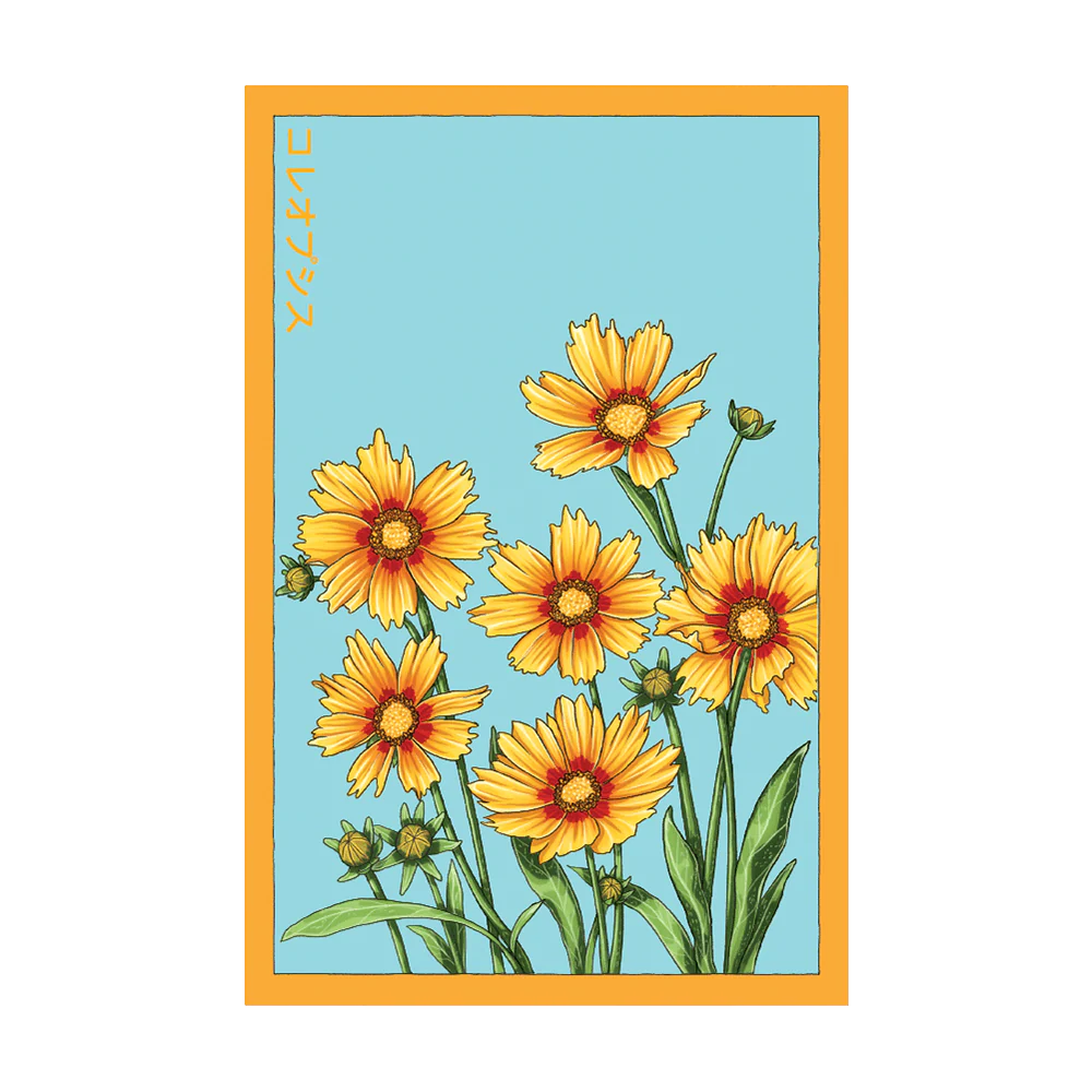Shido Coreopsis 'Big Flower' Seed Packet