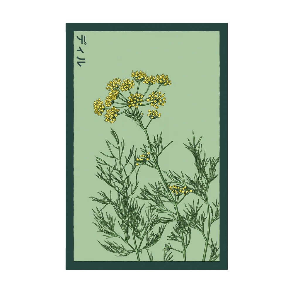 Shido Dill Seed Packet