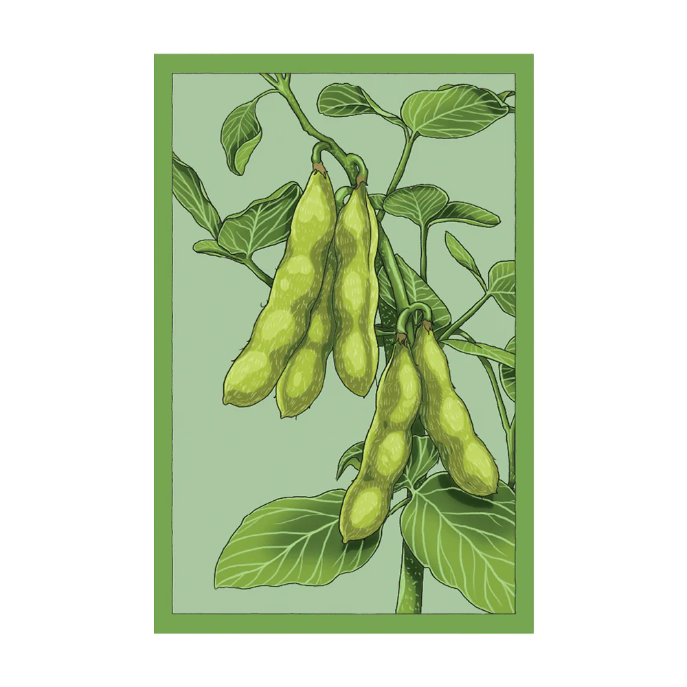 Shido Edamame Seed Packet