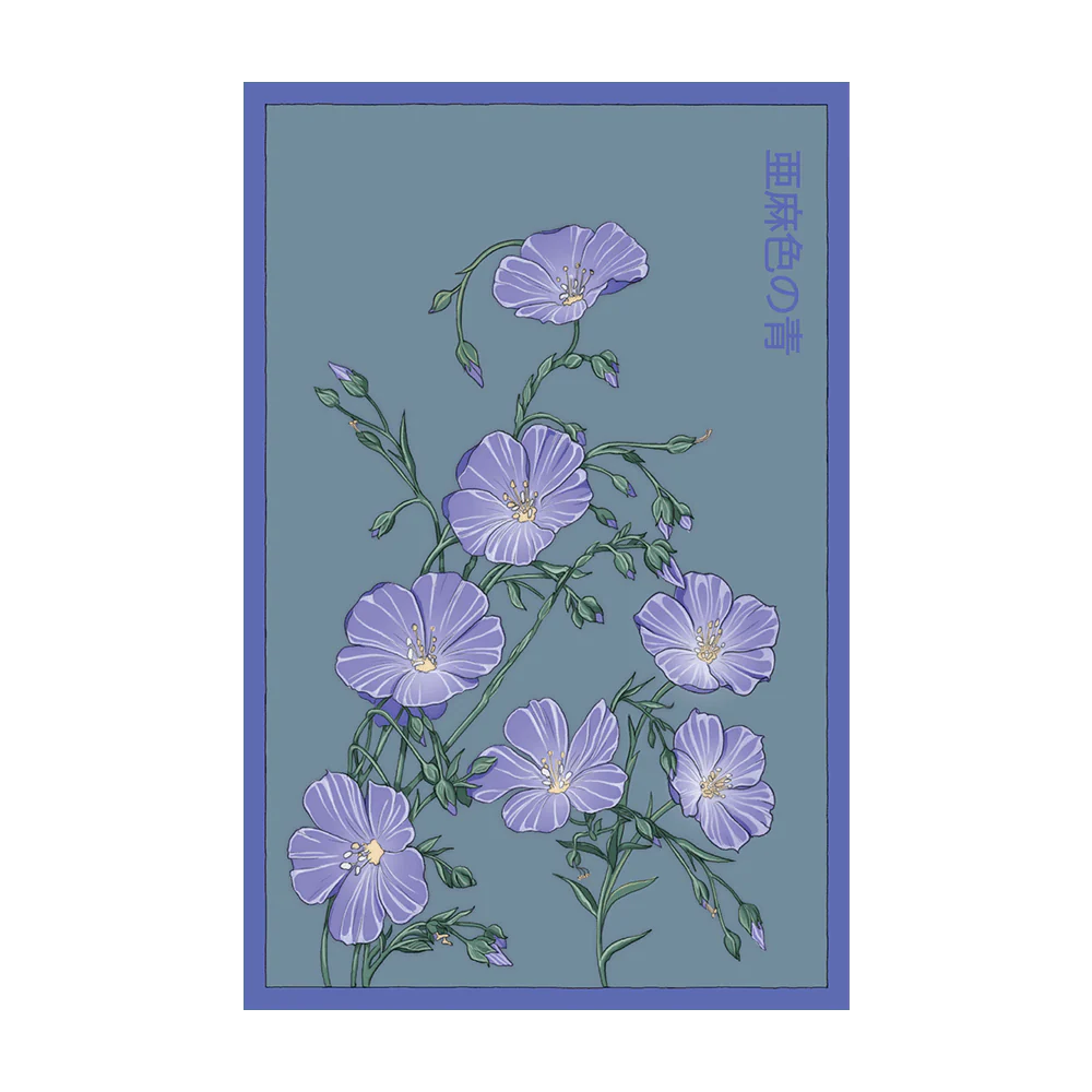 Shido Flax Seed Packet