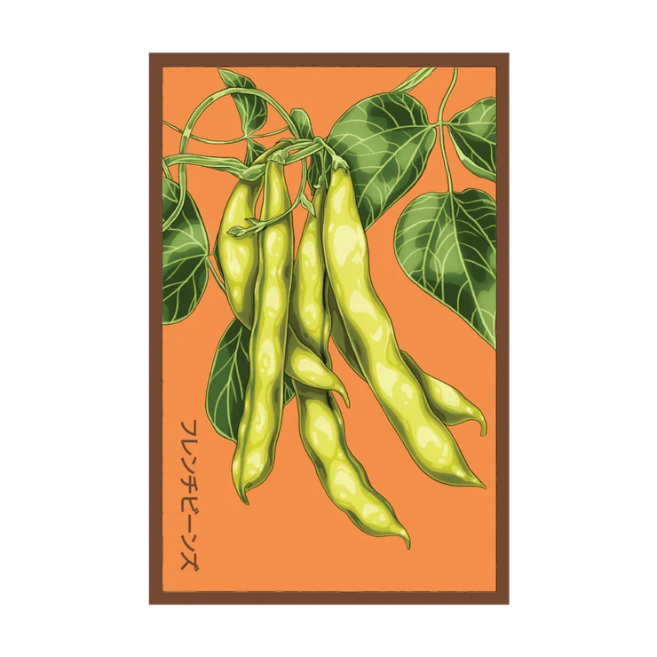 Shido French Beans Seed Packet
