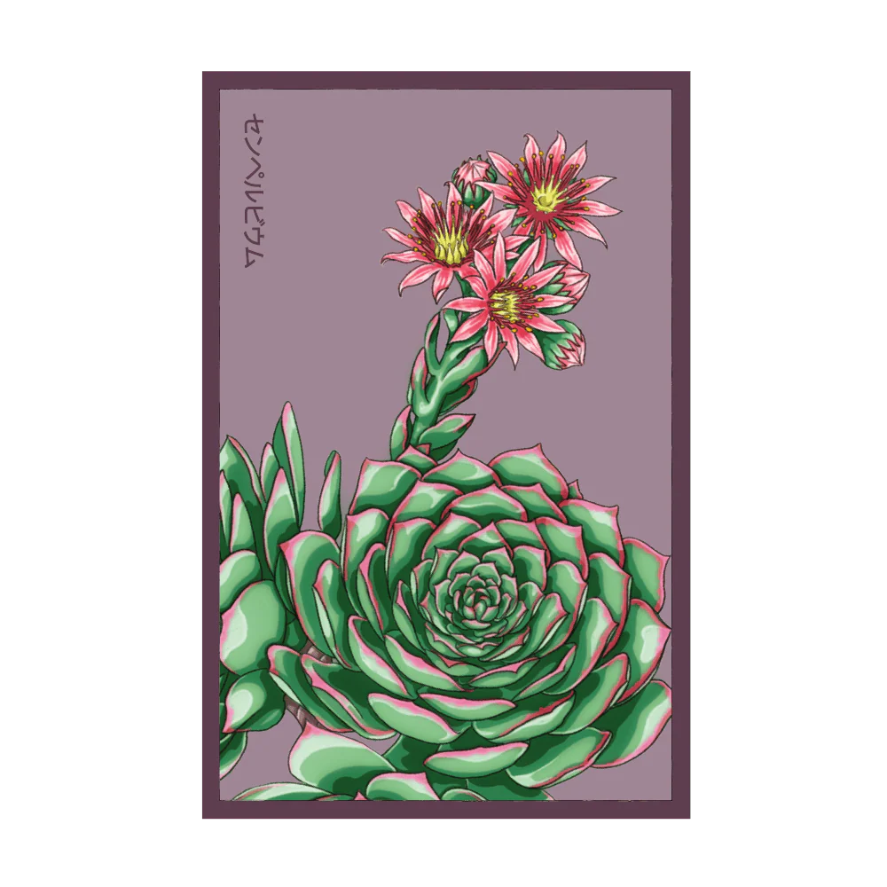 Shido Hens and Chicks Seed Packet