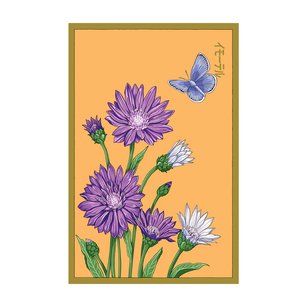 Shido Immortelle Seed Packet