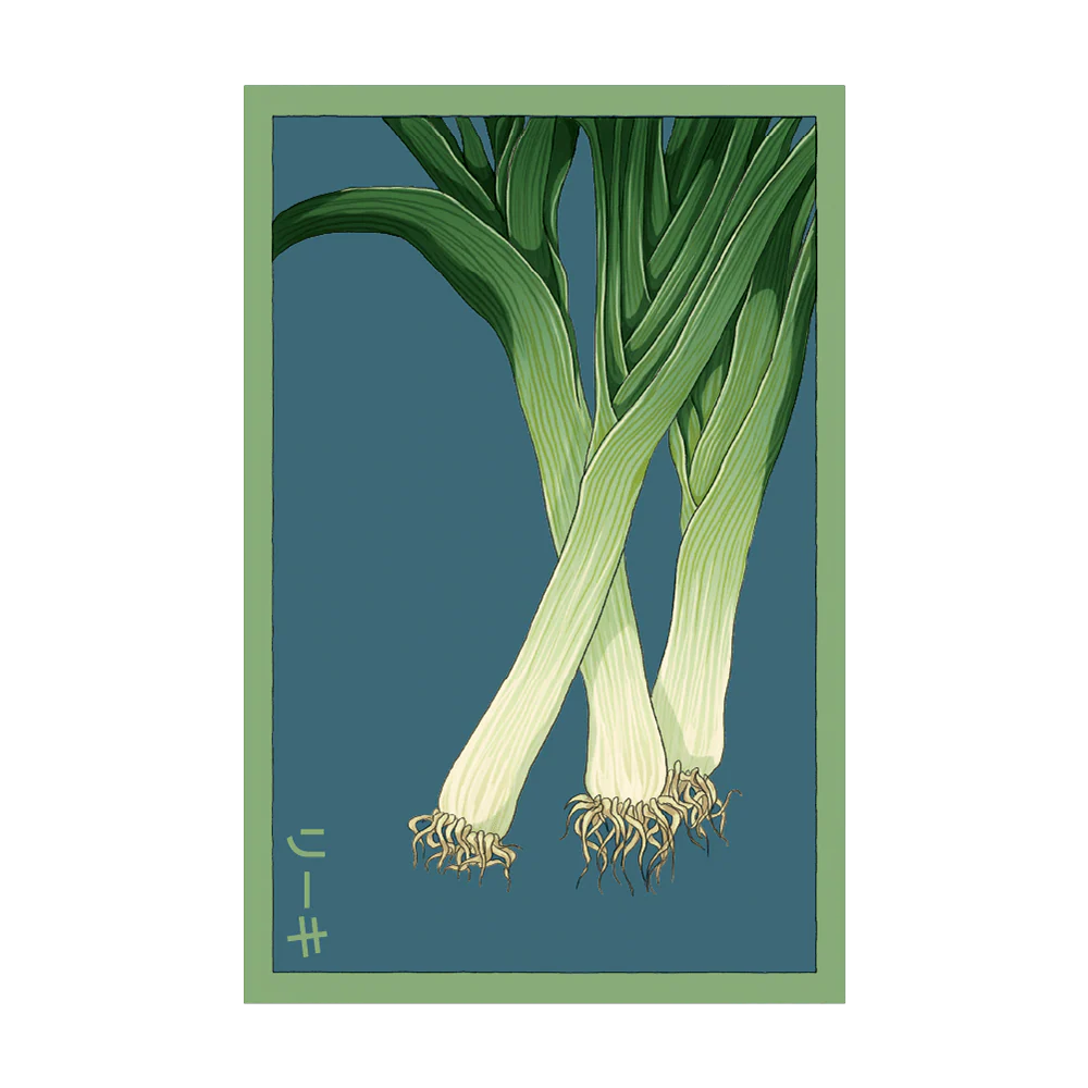 Shido Leek Seed Packet