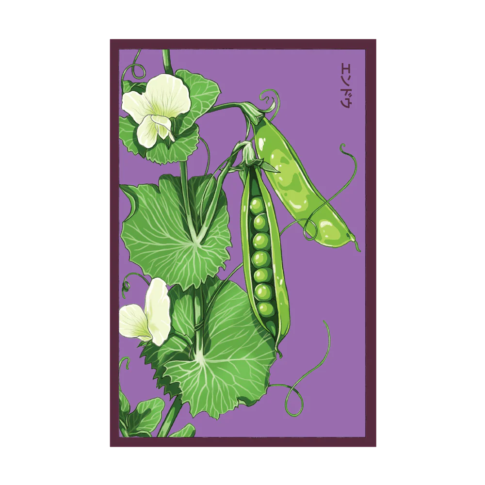 Shido Little Marvel Pea Seed Packet