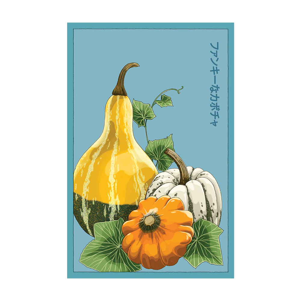 Shido Funky Squash Seed Packet