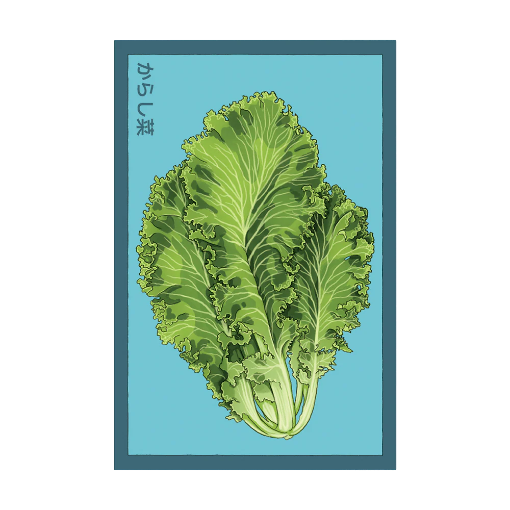 Shido Mustard Green Seed Packet