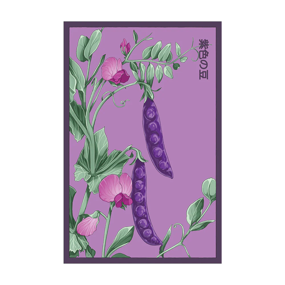 Purple Pea Seed Packet