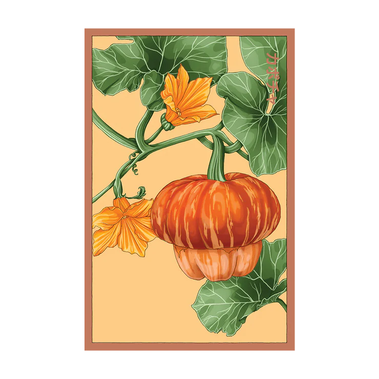 Shido Pumpkin Seed Packet