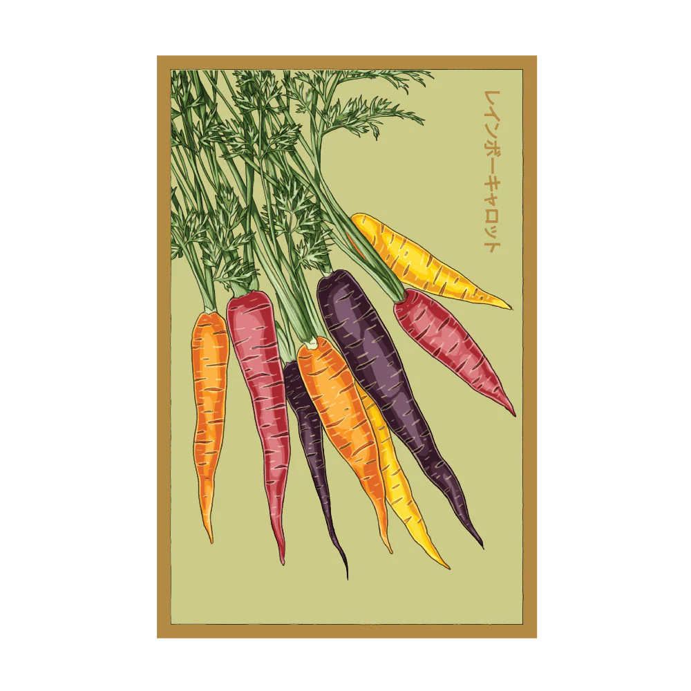 Rainbow Carrot Seed Packet