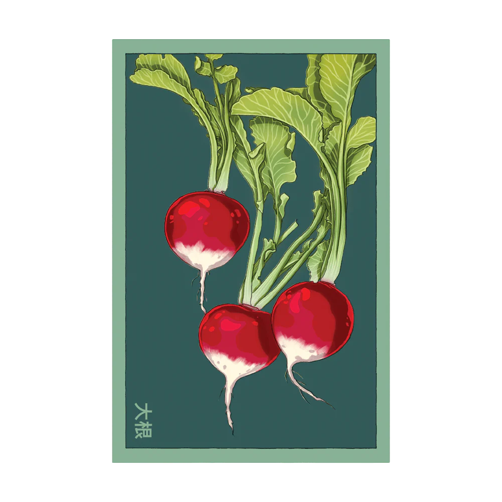 Radish Seed Packet