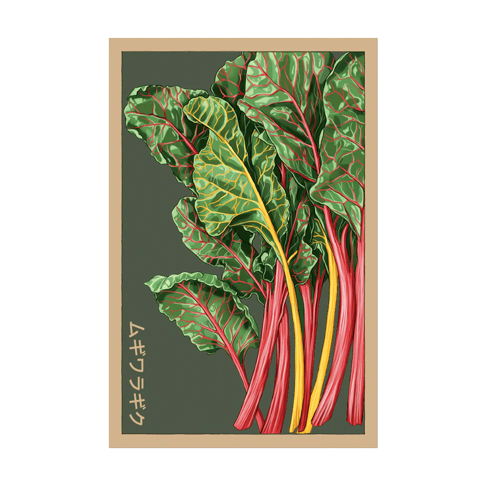 Rainbow Chard Seed Packet