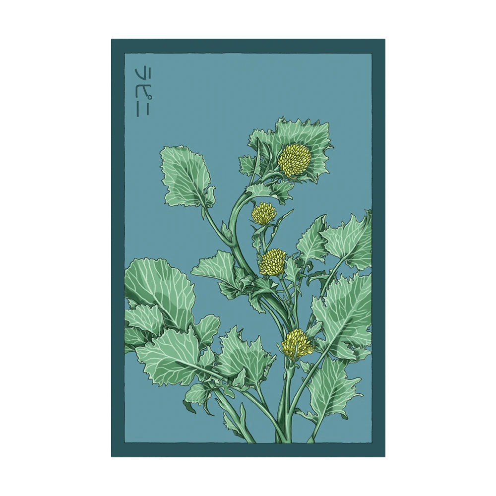 Rapini Seed Packet