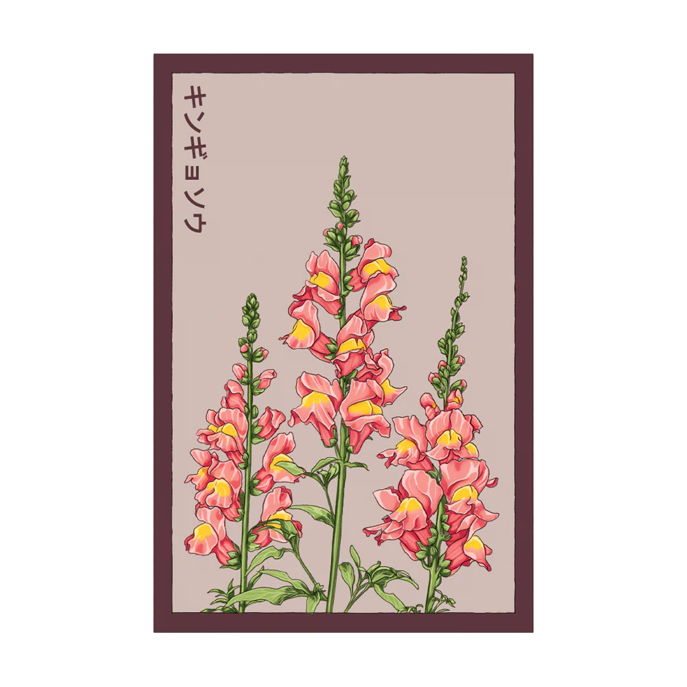 Snapdragon Seed Packet