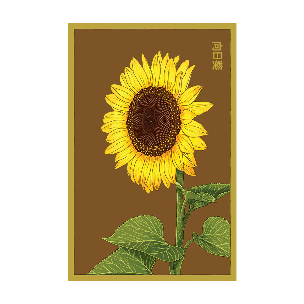 Shido Sunflower Seed Packet