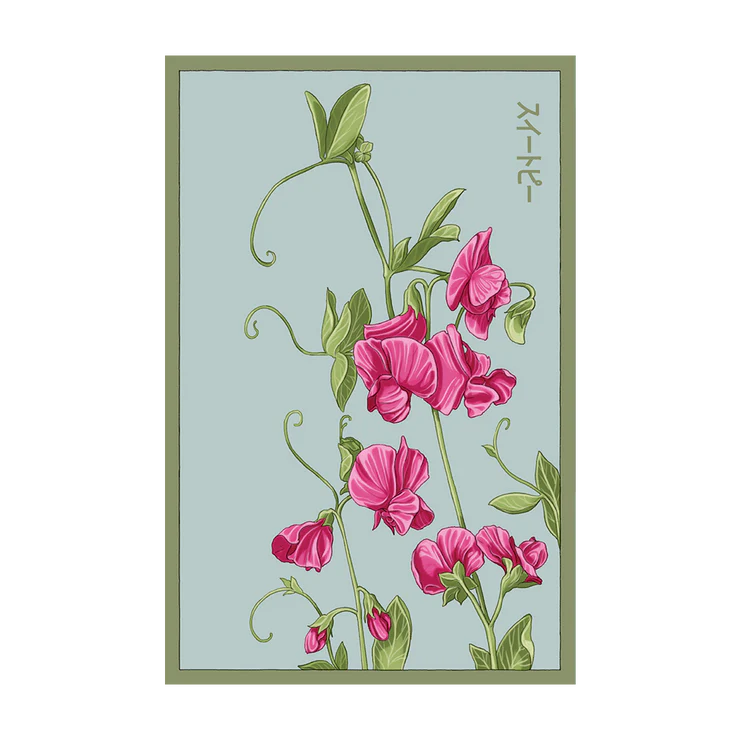 Shido Sweet Pea Seed Packet