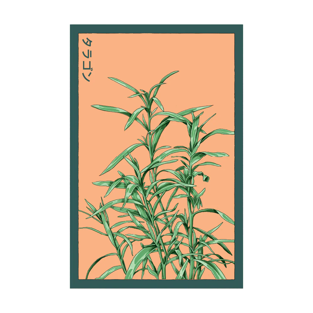 Tarragon Seed Packet