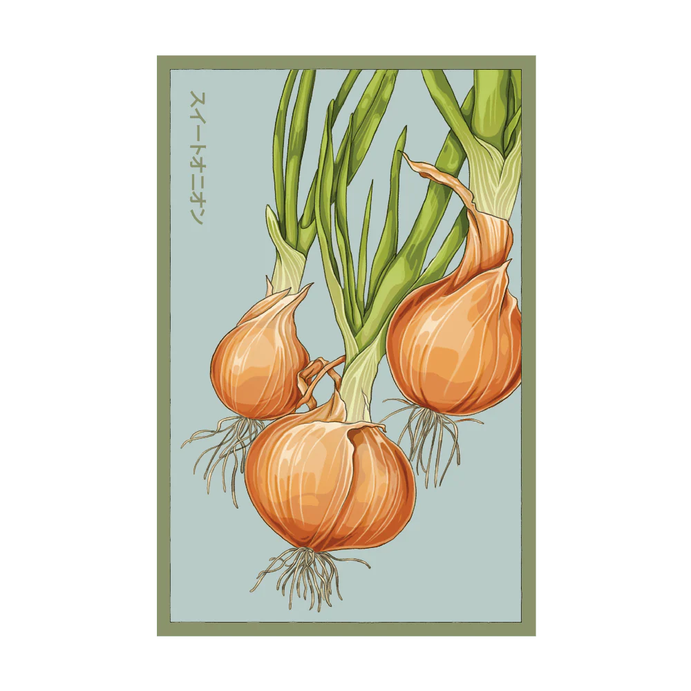 Shido Texas Super Sweet Onion Seed Packet