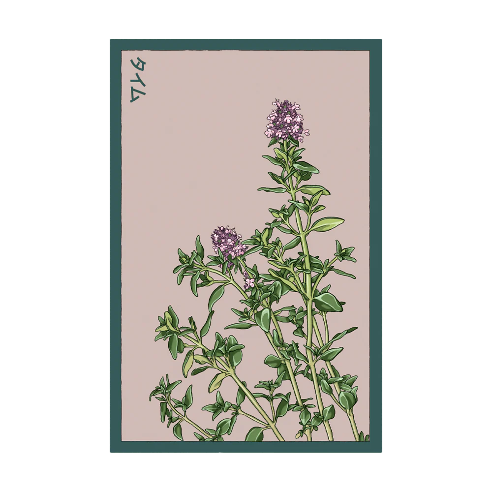 Shido Thyme Seed Packet