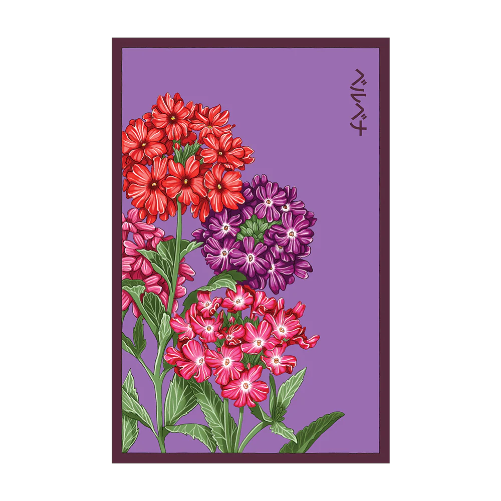 Shido Verbena Seed Packet