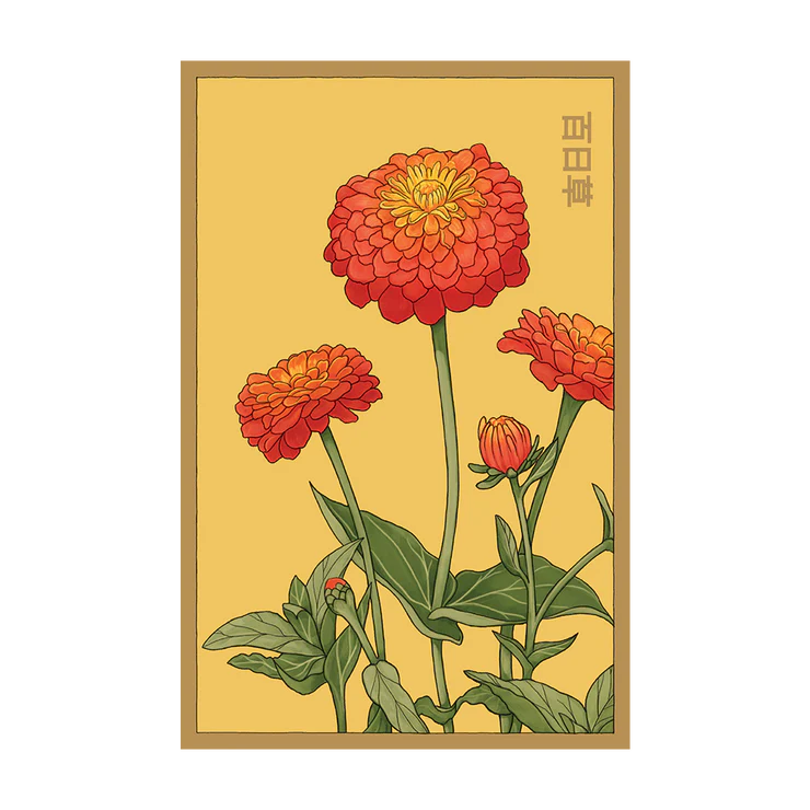 Zinnia Seed Packet