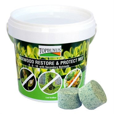 Topbuxus Boxwood Restore & Protect