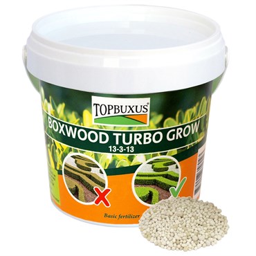 Topbuxus Boxwood Turbo Grow