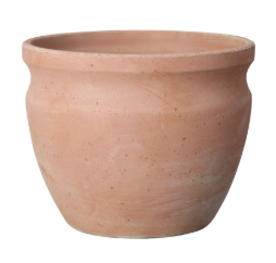 Deroma Giotto Pot