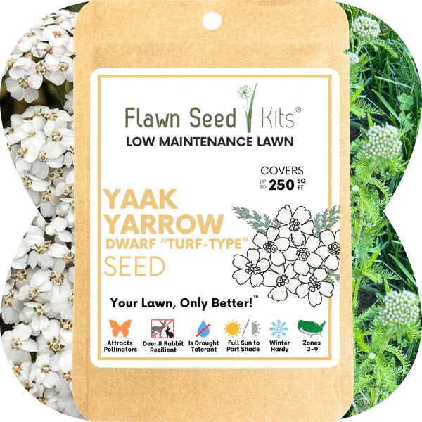 Flawn Yaak Yarrow Turf-Type Seed FL