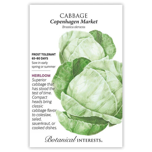 Cabbage 'Copenhagen Market'