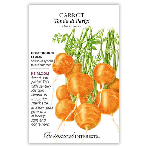 Carrot 'Tonda di Parigi'