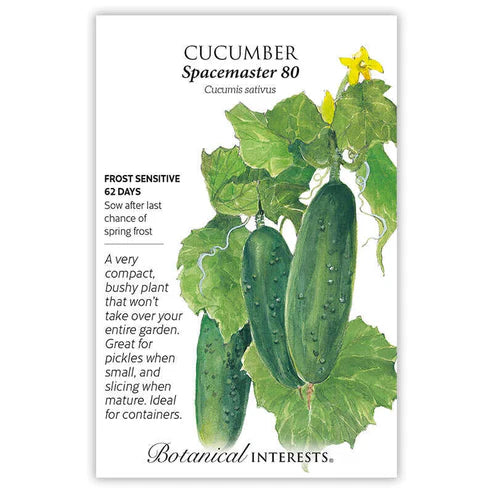 Cucumber 'Spacemaster'
