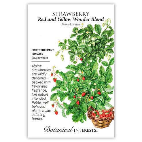Strawberry 'Red and Yellow Wonder Blend'