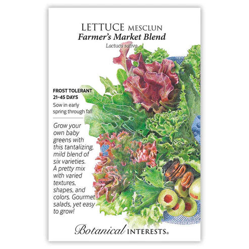 Lettuce Mesclun 'Farmer's Market'