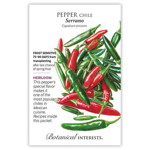 Pepper Chile 'Serrano'