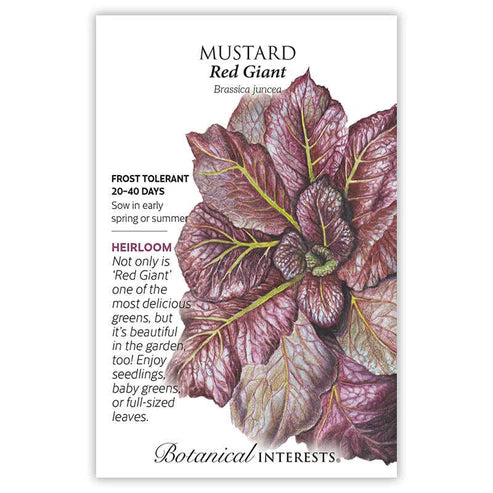 Mustard 'Red Giant'