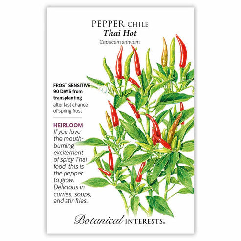 Pepper Chile 'Thai Hot'