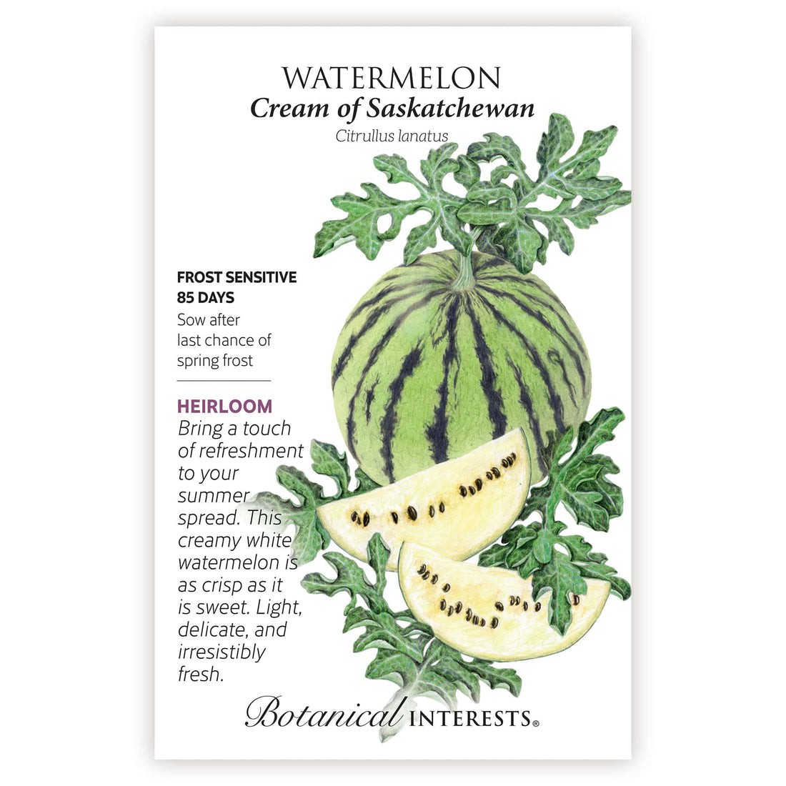 Watermelon 'Cream of Saskatchewan'