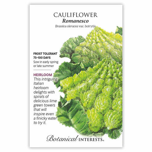 Cauliflower 'Romanesco'