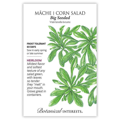 Mâche 'Big Seeded'