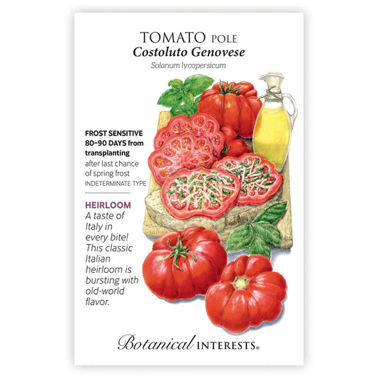 Tomato 'Pole Costoluto Genovese'
