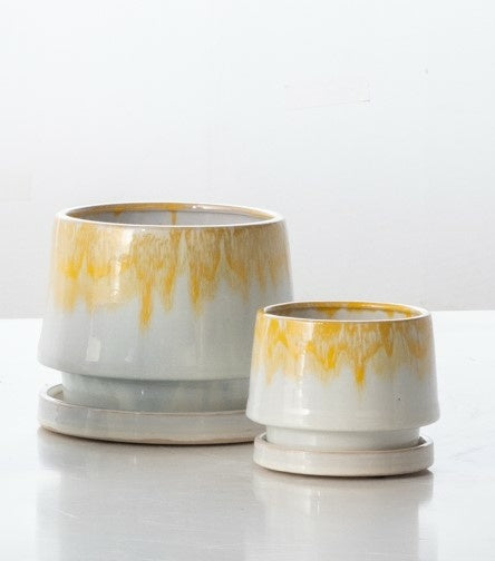 ALF Nicola Petits Pot w/ Attached Saucer