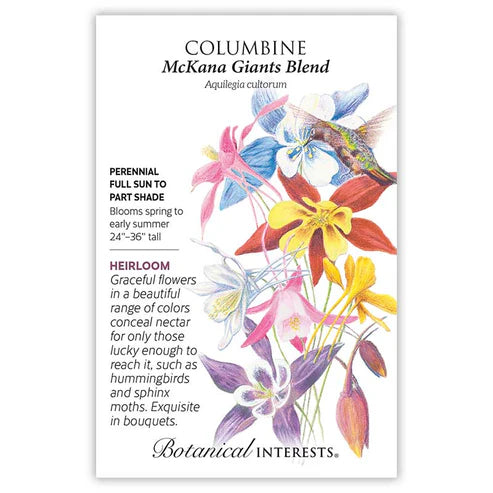 Columbine 'McKana Giants Blend'