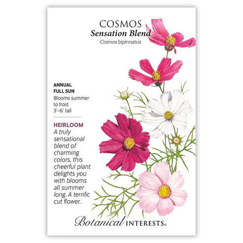 Cosmos 'Sensation Blend'