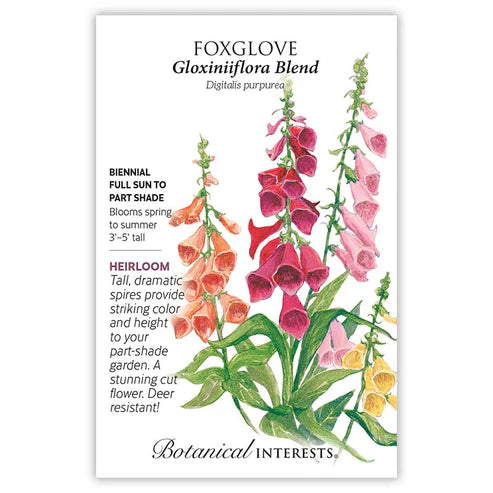 Foxglove "Gloxiniflora Blend'