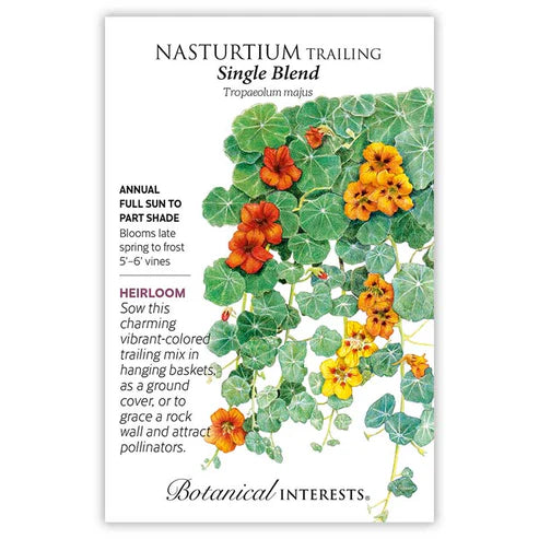 Nasturtium 'Trailing Single Blend'